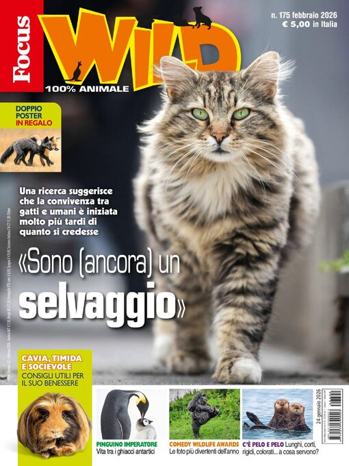 Title details for Focus Wild  by Mondadori Media S.p.A., S.L.L. - Available